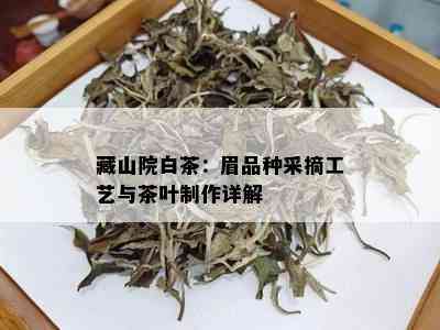 藏山院白茶：眉品种采摘工艺与茶叶制作详解