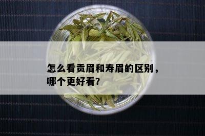 怎么看贡眉和寿眉的区别，哪个更好看？