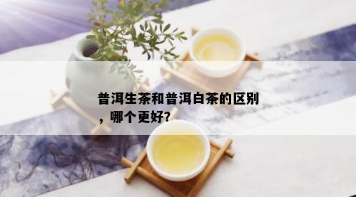 普洱生茶和普洱白茶的区别，哪个更好？