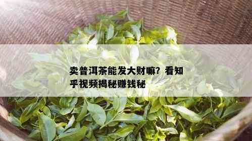 卖普洱茶能发大财嘛？看知乎视频揭秘赚钱秘