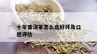 十年普洱茶怎么选好坏及口感评价