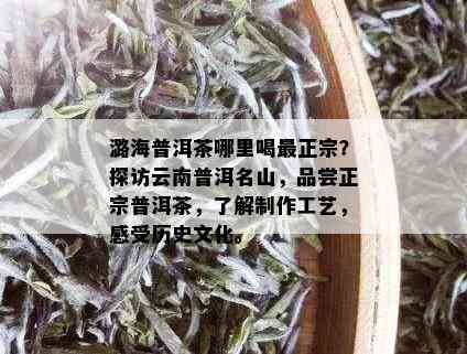 潞海普洱茶哪里喝最正宗？探访云南普洱名山，品尝正宗普洱茶，了解制作工艺，感受历史文化。