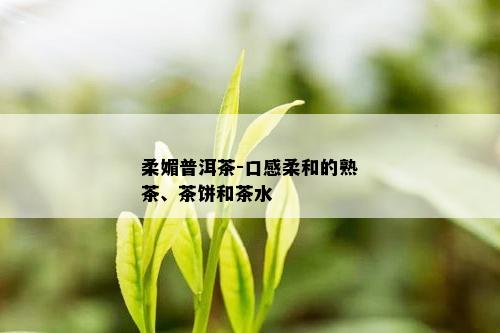 柔媚普洱茶-口感柔和的熟茶、茶饼和茶水