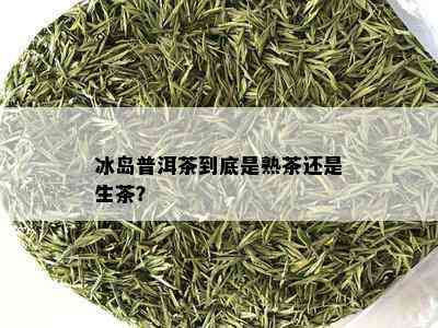 冰岛普洱茶到底是熟茶还是生茶？