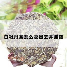 白牡丹茶怎么卖出去并赚钱