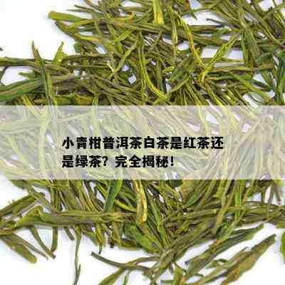 小青柑普洱茶白茶是红茶还是绿茶？完全揭秘！