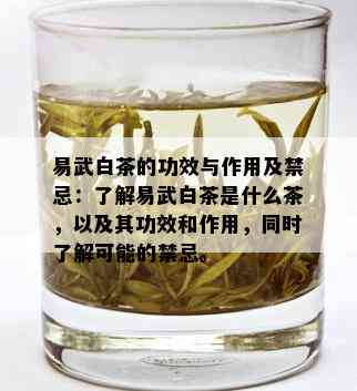 易武白茶的功效与作用及禁忌：了解易武白茶是什么茶，以及其功效和作用，同时了解可能的禁忌。