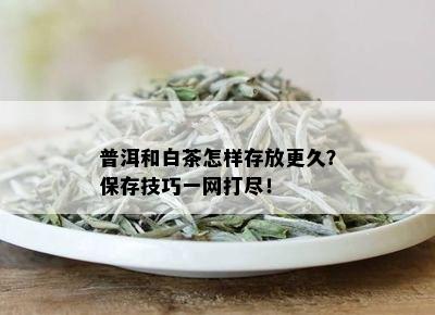 普洱和白茶怎样存放更久？保存技巧一网打尽！