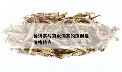 普洱茶与落水洞茶的区别及价格特点