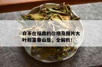 白茶在福鼎的价格及图片大叶和富春山居，全解析！