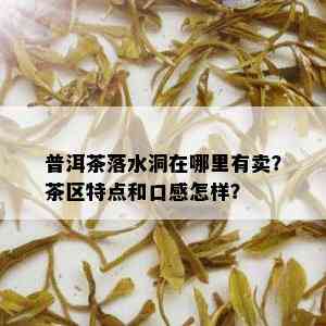 普洱茶落水洞在哪里有卖？茶区特点和口感怎样？