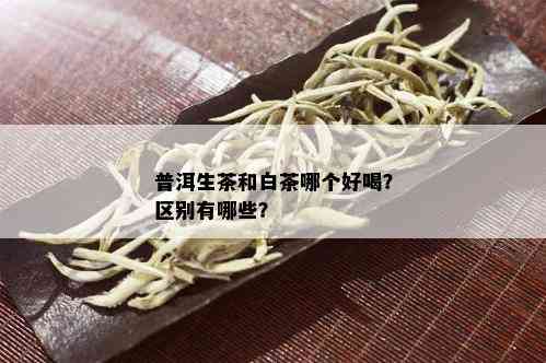 普洱生茶和白茶哪个好喝？区别有哪些？