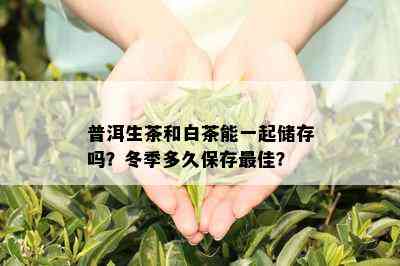 普洱生茶和白茶能一起储存吗？冬季多久保存更佳？