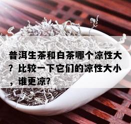 普洱生茶和白茶哪个凉性大？比较一下它们的凉性大小，谁更凉？