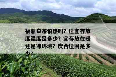 福鼎白茶怕热吗？适宜存放度湿度是多少？宜存放在暖还是凉环境？度合适围是多少？