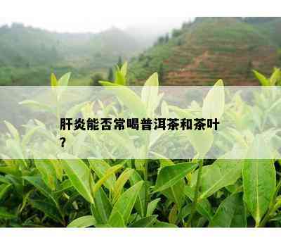 肝炎能否常喝普洱茶和茶叶？