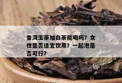 普洱生茶加白茶能喝吗？女性是否适宜饮用？一起泡是否可行？