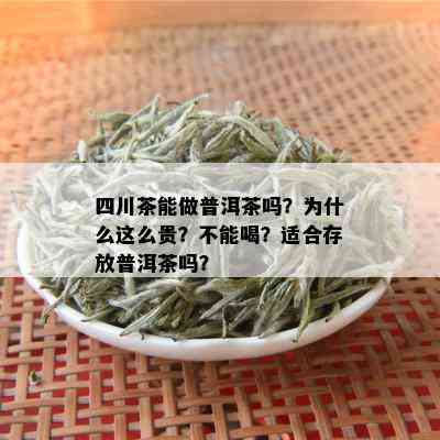 四川茶能做普洱茶吗？为什么这么贵？不能喝？适合存放普洱茶吗？