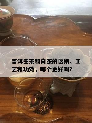 普洱生茶和白茶的区别、工艺和功效，哪个更好喝？