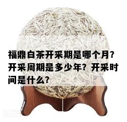 福鼎白茶开采期是哪个月？开采周期是多少年？开采时间是什么？