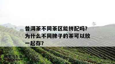 普洱茶不同茶区能拼配吗？为什么不同牌子的茶可以放一起存？