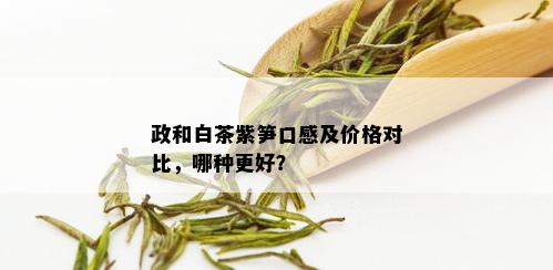 政和白茶紫笋口感及价格对比，哪种更好？