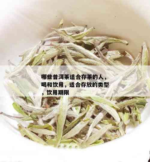 哪些普洱茶适合存茶的人，喝和饮用，适合存放的类型，饮用期限