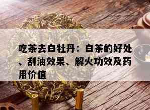 吃茶去白牡丹：白茶的好处、刮油效果、解火功效及用价值