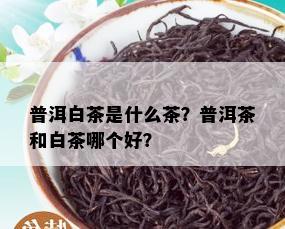 普洱白茶是什么茶？普洱茶和白茶哪个好？