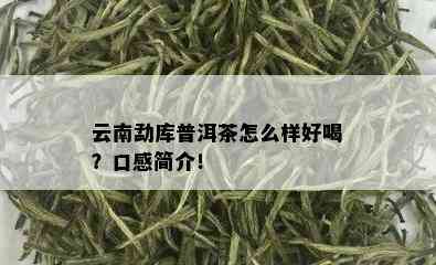 云南勐库普洱茶怎么样好喝？口感简介！