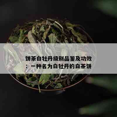 饼茶白牡丹级别品鉴及功效：一种名为白牡丹的白茶饼