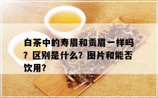 白茶中的寿眉和贡眉一样吗？区别是什么？图片和能否饮用？