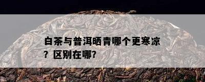 白茶与普洱晒青哪个更寒凉？区别在哪？