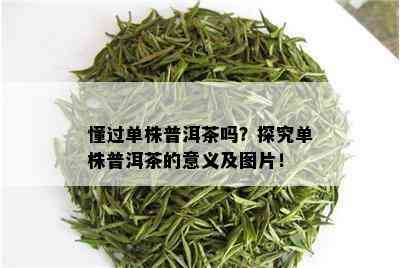 懂过单株普洱茶吗？探究单株普洱茶的意义及图片！