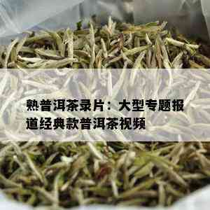 熟普洱茶录片：大型专题报道经典款普洱茶视频