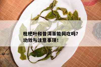 枇杷叶和普洱茶能同吃吗？功效与注意事项！