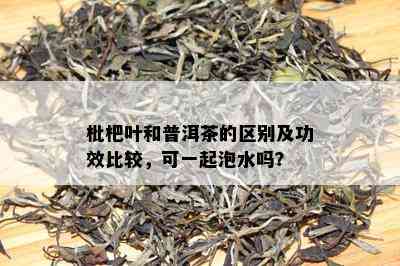 枇杷叶和普洱茶的区别及功效比较，可一起泡水吗？