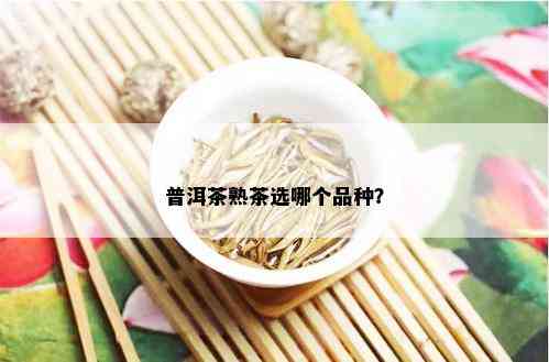 普洱茶熟茶选哪个品种？