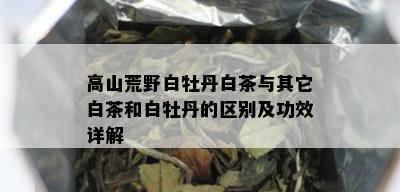 高山荒野白牡丹白茶与其它白茶和白牡丹的区别及功效详解