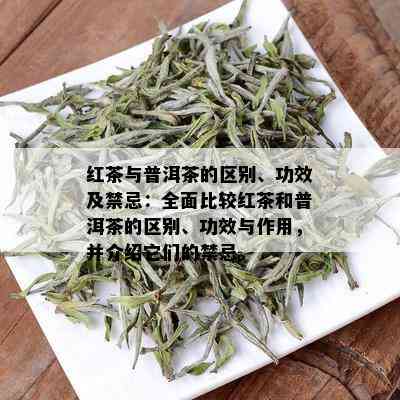 红茶与普洱茶的区别、功效及禁忌：全面比较红茶和普洱茶的区别、功效与作用，并介绍它们的禁忌。