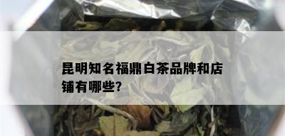 昆明知名福鼎白茶品牌和店铺有哪些？