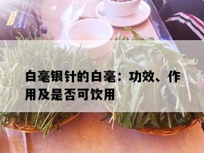 白毫银针的白毫：功效、作用及是否可饮用