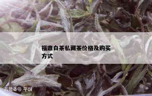 福鼎白茶私藏茶价格及购买方式