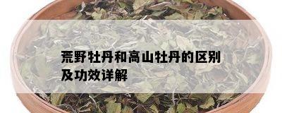 荒野牡丹和高山牡丹的区别及功效详解