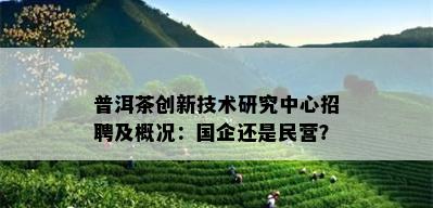 普洱茶创新技术研究中心招聘及概况：国企还是民营？