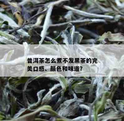 普洱茶怎么煮不发黑茶的完美口感、颜色和味道？