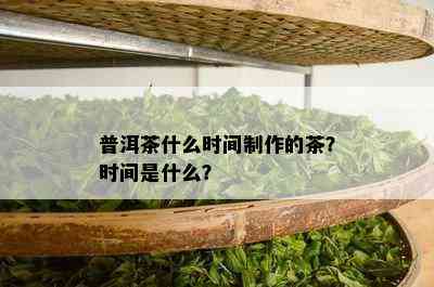 普洱茶什么时间制作的茶？时间是什么？