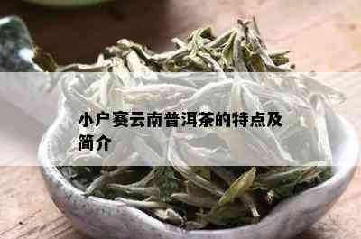 小户赛云南普洱茶的特点及简介