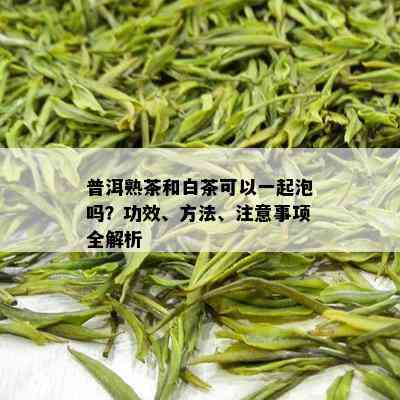 普洱熟茶和白茶可以一起泡吗？功效、方法、注意事项全解析