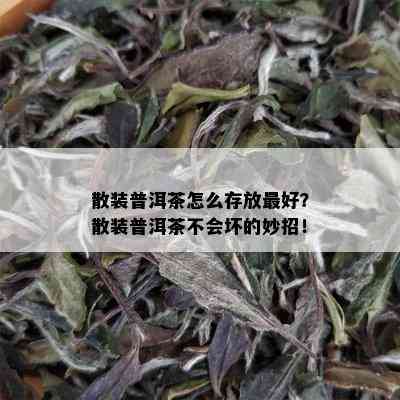 散装普洱茶怎么存放更好？散装普洱茶不会坏的妙招！